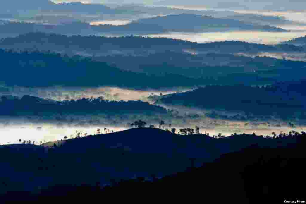The protection of the Atlantic forest is critical for the provision of services for millions, such as clean water, carbon storage, tourism revenue and others. (Credit: Robin Moore/iLCP/Conservation International)
