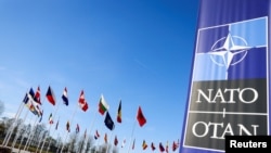 北大西洋公约组织(NATO)即将于7月9日至11日在华盛顿举行75周年峰会，此次峰会的焦点预计放在乌克兰总统泽连斯基(Volodymyr Zelensky)身上。