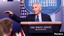 FILE - National Institute of Allergy and Infectious Diseases Director Anthony Fauci addresses the daily press briefing at the White House in Washington, Jan. 21, 2021.