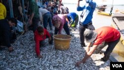 រូបឯកសារ៖ ​ត្រីជាច្រើន​តោន​ត្រូវ​បាន​ពលរដ្ឋ​រក​បាន​នៅ​ដាយត្រី​មួយ​តាម​ដងទន្លេ​សាបអំឡុង​ដើម​រដូវ​ប្រហុក​ផ្អក​នៅ​ឃុំ​កំពង់លួង ស្រុក​ពញ្ញាឮ ខេត្ត​កណ្តាល​ កាលពី​ថ្ងៃសៅរ៍​ ទី​០៧ ខែធ្នូ ឆ្នាំ២០១៩។ (ទុំ ម្លិះ/វីអូអេ)