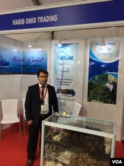 Abdul Qader Habibzadah says the security situation in his country and transit problems with India are the biggest impediment to boosting business. He's pictured at the "Passage to Prosperity" trade show in New Delhi, Sept. 27, 2017. (A. Pasricha/VOA)