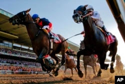 These horses raced in the 2014 Belmont Stakes in New York State. (AP Photo/Matt Slocum)