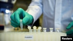 រូបឯកសារ៖ បុគ្គលិក​ម្នាក់​នៃ​ក្រុមហ៊ុន​ជីវ​បច្ចេកវិទ្យា​របស់​អាល្លឺម៉ង់ CureVac បង្ហាញ​ពី​ដំណើរ​នៃ​ការងារស្រាវជ្រាវ​វ៉ាក់សាំង​ការពារ​ជំងឺ​កូវីដ១៩ នៅ​មន្ទីរពិសោធន៍​មួយ​កន្លែង​ក្នុង​ទីក្រុង​Tuebingen នៃ​ប្រទេស​អាល្លឺម៉ង់ កាលពី​ថ្ងៃទី១២ ខែមីនា ឆ្នាំ២០២០។