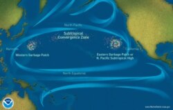 Map showing the Great Pacific Garbage Patch, in the Pacific Ocean between California and Hawaii. The world’s largest ocean garbage patch is over 1.5 million square kilometers. (Courtesy of National Oceanic and Atmospheric Administration)