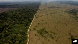 FILE - A photo of a deforested area near Novo Progresso in Brazil's northern state of Para, Sept. 15, 2009.