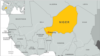 Niger Says 17 Soldiers Killed in Ambush