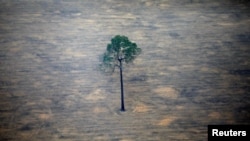FILE - An aerial view shows a deforested plot of the Amazon near Porto Velho, Rondonia State, Brazil, Sept. 17, 2019. 