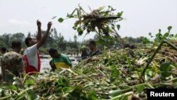 እምቦጭ አረም