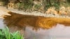 FILE - Oil from a spill pollutes the Okuku River in Ogoniland, Nigeria, on Sept. 16, 2023. Amnesty International on July 5, 2024, raised a red flag about two companies the Nigerian government has hired to assess a proposed sale of Shell's onshore assets.