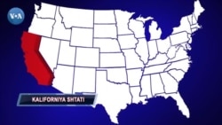 Kaliforniya: O'zbek saylovchi prezidentlikka nomzodlar haqida nima deydi?