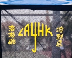 集会现场展示的力撑香港作品。(洛杉矶巴恩斯公园，美国之音2020年10月24日)