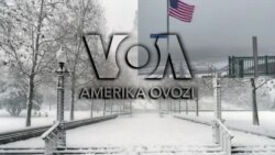 Amerika Manzaralari: Xalqqa murojaat, ukrainalik qochqinlar, alpaka