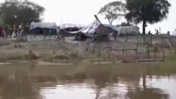 Des milliers de Sud-Soudanais fuient les inondations saisonnières