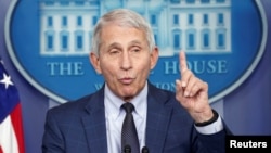 Dr. Anthony Fauci berbicara di Gedung Putih, Rabu (1/12). 
