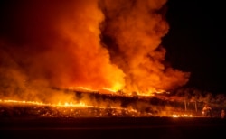 A firefighter battles the Kincade Fire near Geyserville, Calif., Oct. 24, 2019.