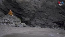 បំពេញបំណងព្រះពុទ្ធ៖ ភិក្ខុនីស្វែងរកសមភាពក្នុងការសាងផ្នួស