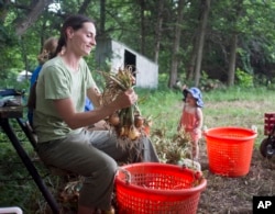 FILE - Organic farmer Chloe Diegel ties bunches of onions with her daughter Nina, in Martell, Neb., July 28, 2011.