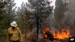 FILE - Ryan Berlin, a public information officer tracking the Bootleg Fire, walks past a burning log near the northwest edge of the fire, July 23, 2021, near Paisley, Ore. 