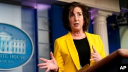 Duta Besar Roberta Jacobson, koordinator perbatasan barat daya 