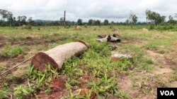 រូបឯកសារ៖ ព្រៃឈើ​ត្រូវ​បាន​កាប់​ដើម្បី​ធ្វើ​ដី​សម្បទាន​នៅ​ក្នុង​ខេត្ត​រតនគីរី​នៃ​ប្រទេស​កម្ពុជា​នៅ​ថ្ងៃទី​២៦ ខែសីហា ឆ្នាំ២០១៤។ (នូវ ពៅលក្ខិណា VOA)