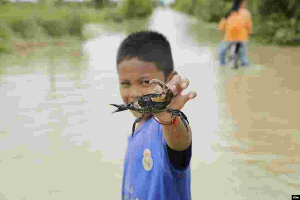 A boy and his crab just grabbed from a flooded road in Spean Tmor commune, Dangkoa district, Phnom Penh, Cambodia, on Oct. 14, 2020. (Malis Tum/VOA Khmer)