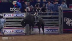 Kompetisi Rodeo Remaja