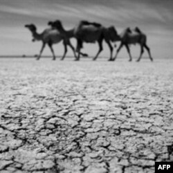 Suv taqsimoti - Markaziy Osiyoda birlamchi masala, deydi o'zbekistonlik olim
