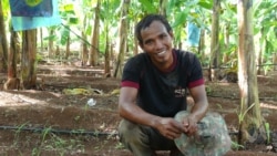 លោក​ មេ៉ត ម៉ាលីគី​ វ័យ​៣៣ឆ្នាំ​ ជា​កម្មករ​ចម្ការ​ចេក​ ក្នុង​ស្រុកអូរ​រាំង​ឪ ខេត្ត​ត្បូង​ឃ្មុំ កាលពីថ្ងៃ​ទី​២៣​ ខែ​កក្កដា​ ឆ្នាំ​២០២០។​ (ហ៊ាន សុជាតា​/វីអូអេ)