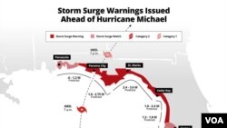 Storm surge predictions for Hurricane Michael in Florida, Oct. 9, 2018