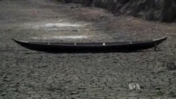 War, Drought Threaten Iraq's Marshlands