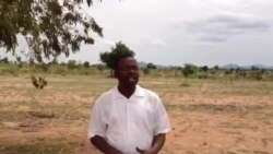 A Gabashin Dajin Sambisa 4, ga Yuni 2014