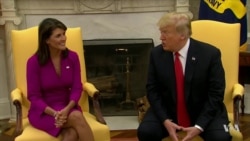 In Haley, Trump Loses a Conventional GOP Foreign Policy Voice