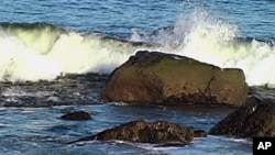 Global warming and changing ocean chemistry affect marine nutrients and marine life