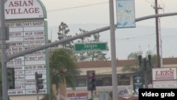 សហគមន៍ Little Saigon ដែល​មាន​ទីតាំង​ស្ថិត​នៅ​ភាគ​ខាង​ត្បូង​នៃ​ក្រុង Los Angeles រដ្ឋ Californiaមាន​ពលរដ្ឋ​វៀតណាម​ច្រើន​ជាង​គេ។ 