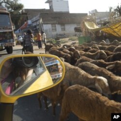 Nano Diaries: Tiny Car Makes Big India Road Trip