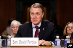 데이비드 퍼듀 공화당 상원의원.
