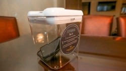 Quiz - Vacation Spots Offer 'Extras' for Disconnecting Phones