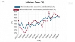 Sorğu: Türkiyədə işsizlik səviyyəsi azalıbmı?
