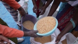 Udaba Esilwethulelwe NguEzra Tshisa Sibanda