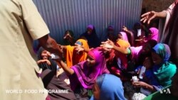 Global Hunger Is Rising — Artificial Intelligence Can Help