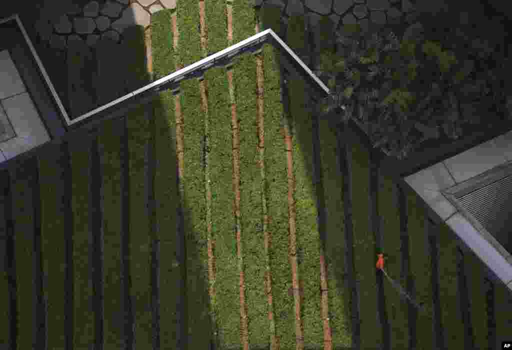 Seorang pekerja pemeliharaan menyirami taman di atas sebuah gedung di distrik pusat bisnis Kuala Lumpur, Malaysia.