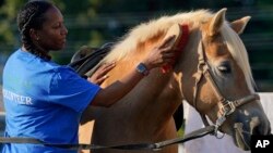 Dionne Williamson, of Patuxent River, Md., grooms Woody at Cloverleaf Equine Center in Clifton, Va., Sept. 13, 2022. Williamson found stability through a month-long hospitalization and a therapeutic program that incorporates horseback riding. (AP Photo/Susan Walsh)