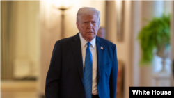 دونالد ترامپ، رئیس جمهوری آمریکا