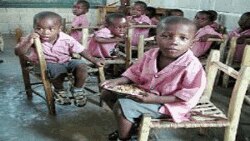 To encourage school attendance and ensure healthy minds and bodies, WFP supplies a nutritious daily lunch to more than 400,000 pupils in 850 primary schools (file)