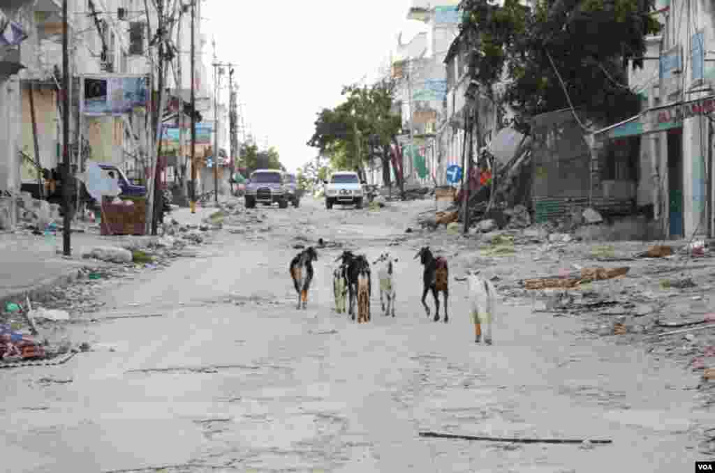 Bakara Market, August, 2011. (Pete Heinlein/VOA)