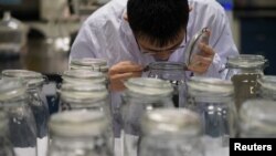 An employee conducts an "odor test" at the Polymer Laboratory at Ford's research and development center in Nanjing, China, July 12, 2017.