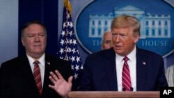 도널드 트럼프 미국 대통령과 마이크 폼페오 국무장관.