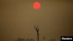 A view of a deforested area at the National Forest Bom Futuro in Rio Pardo, Rondonia state, Brazil, Sept. 12, 2019.