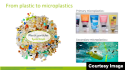 Courtesy - Philipp Schwabl