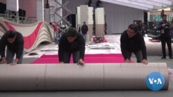 Hollywood Rolling Out Red Carpet for Oscars